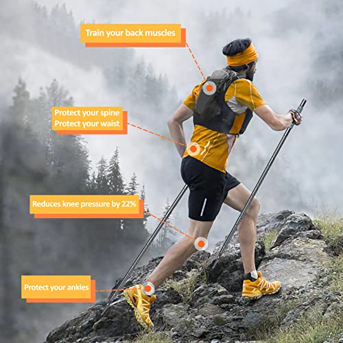 Collapsible Hiking Stick Trekking Pole with Compasse, Whistle (1 Stick) E2400