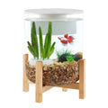 Bamboo Baseal Aquarium S87187