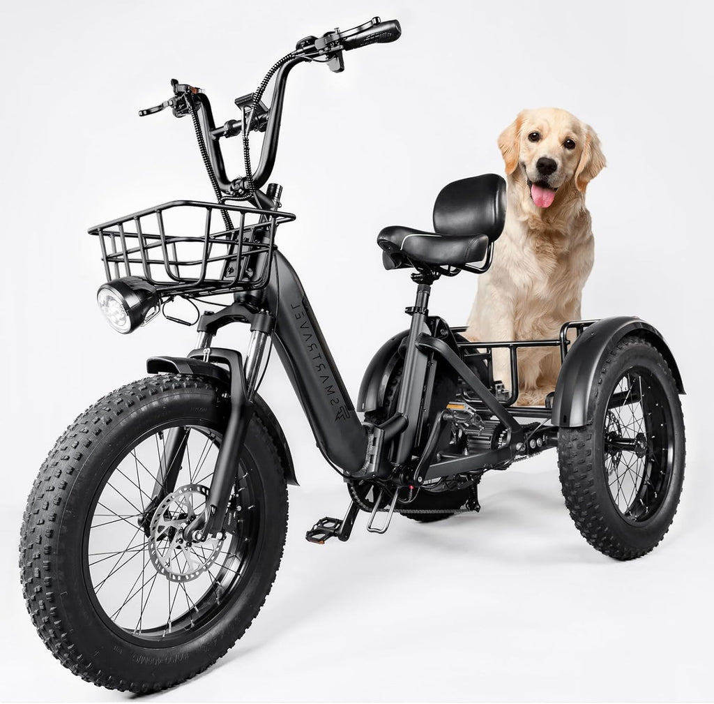 Electric Trike 750W Motor 20" Fat Tire 3 Wheel Electric Bike Dual Removable Batteries B52638