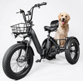 Electric Trike 750W Motor 20" Fat Tire 3 Wheel Electric Bike Dual Removable Batteries B52638