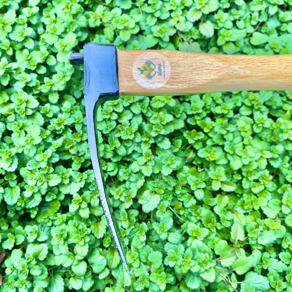 14 Inch Wide Japanese Carbon Steel Garden Hoe with Oak Wooden Handle M151910