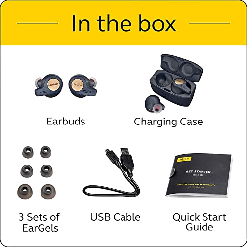 True Wireless Earbuds with Charging Case, Copper Black V60231