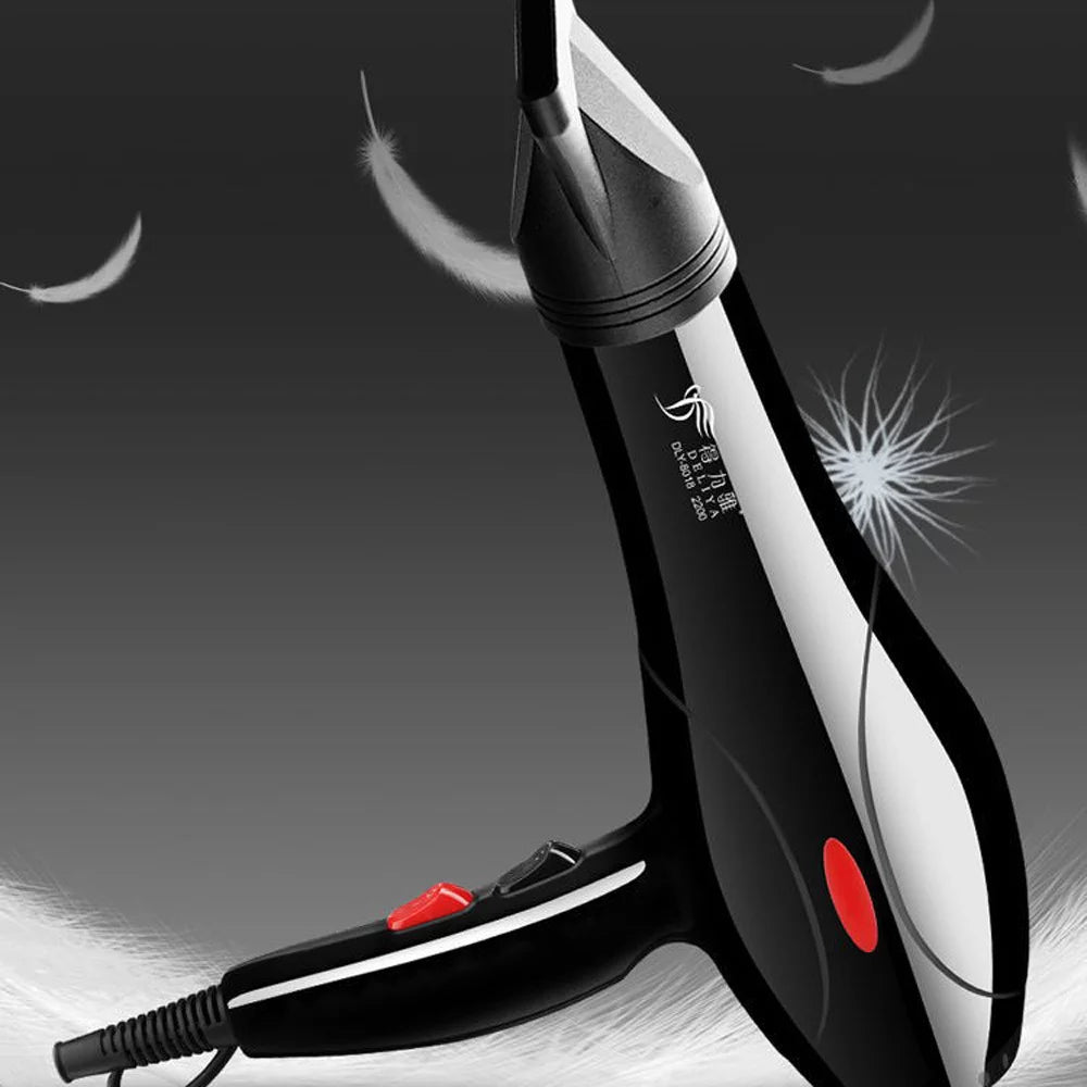 2200W Black Hair Dryer S2709