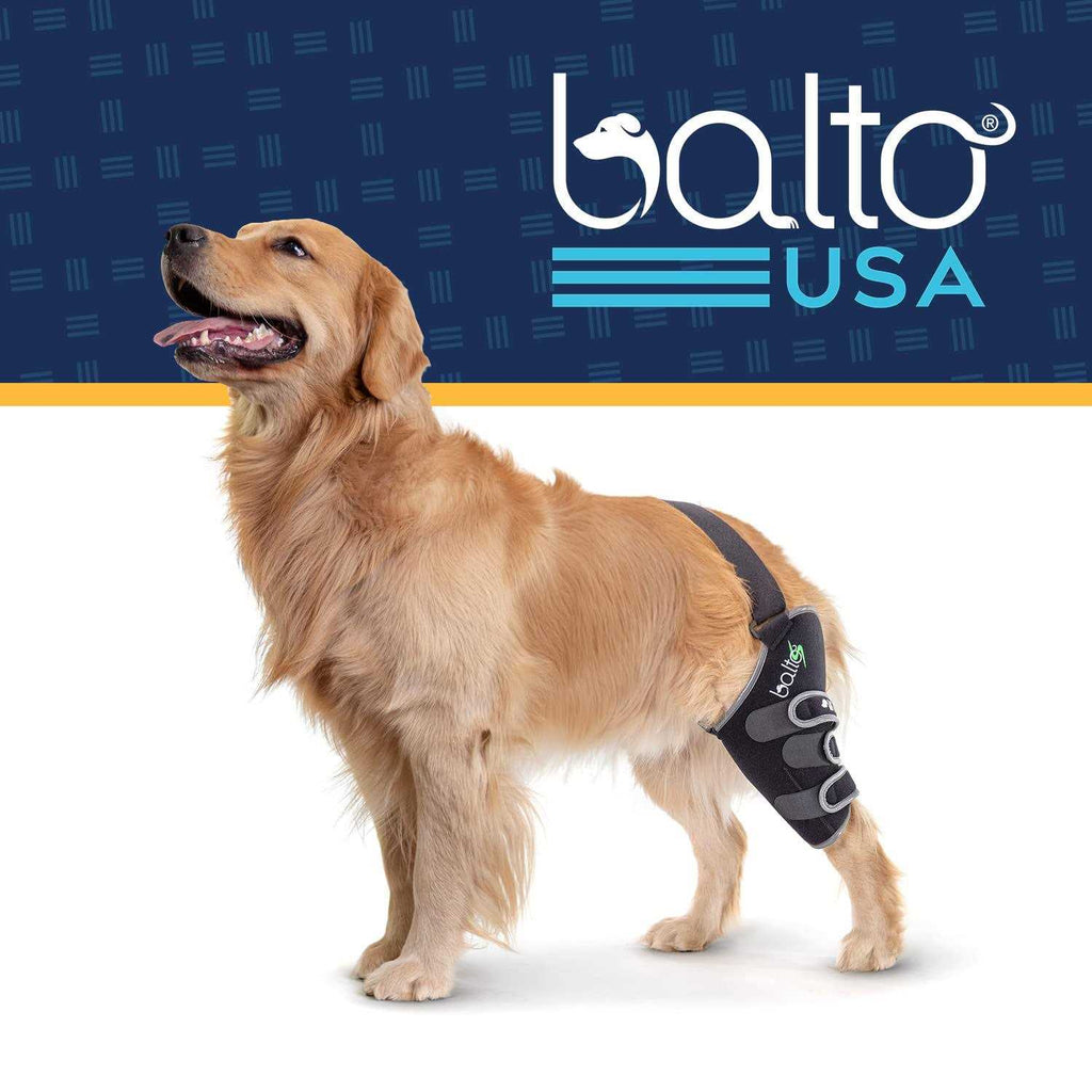 Knee Support for Dogs B19151