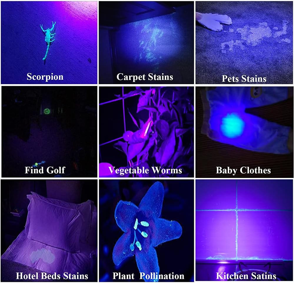 2 Pack Rechargeable UV Flashlight 385-395nm G638
