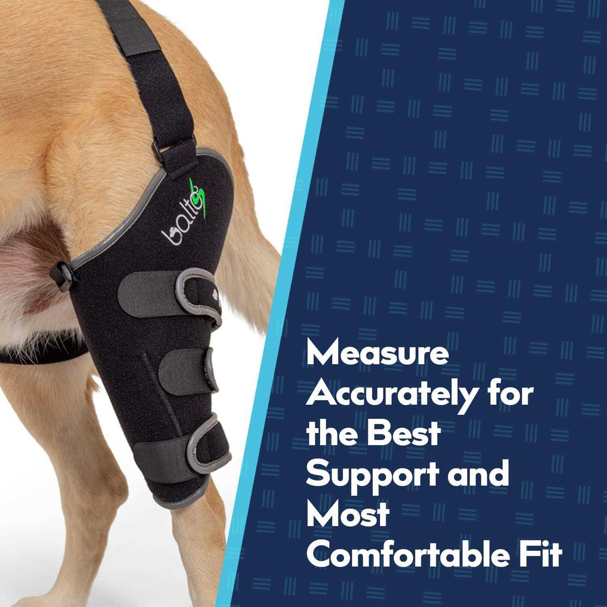 Knee Support for Dogs B19151