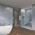Chrome Frameless Hinged Shower Door H53795