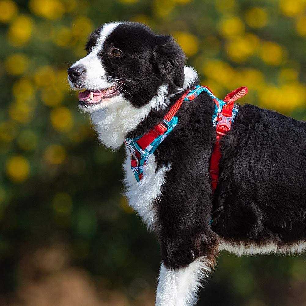 No Pull Dog Harness with Quick-Release Neck Strap S51208