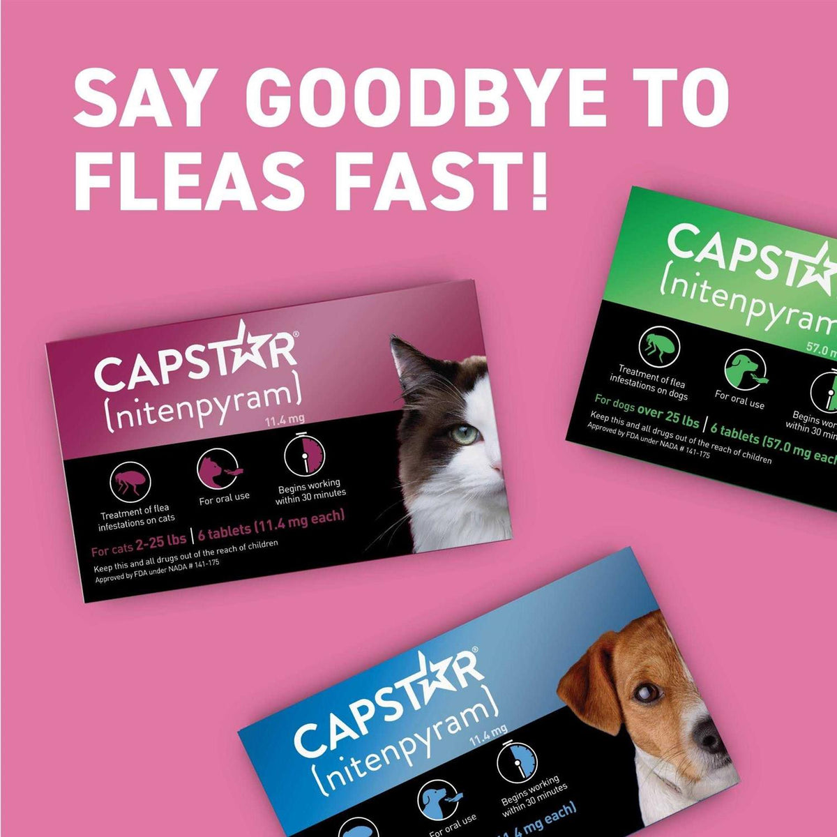 Flea Tablets for Cats 2-25 lbs R922227