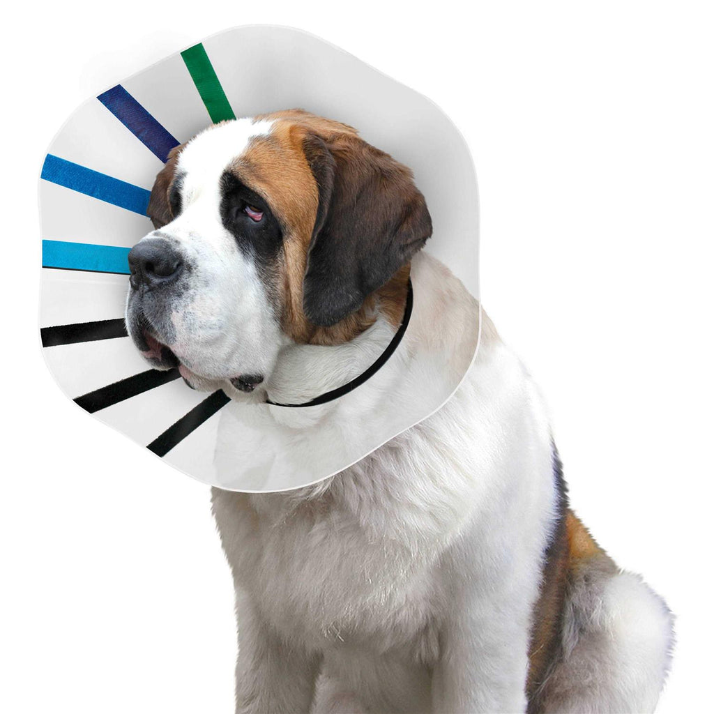 Clear Collar T31068