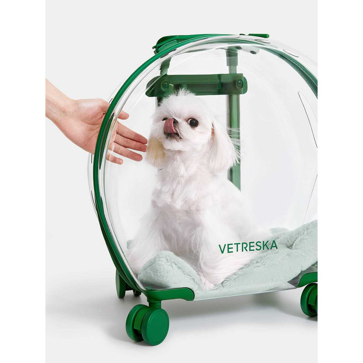 Dog & Cat Carrier K5841