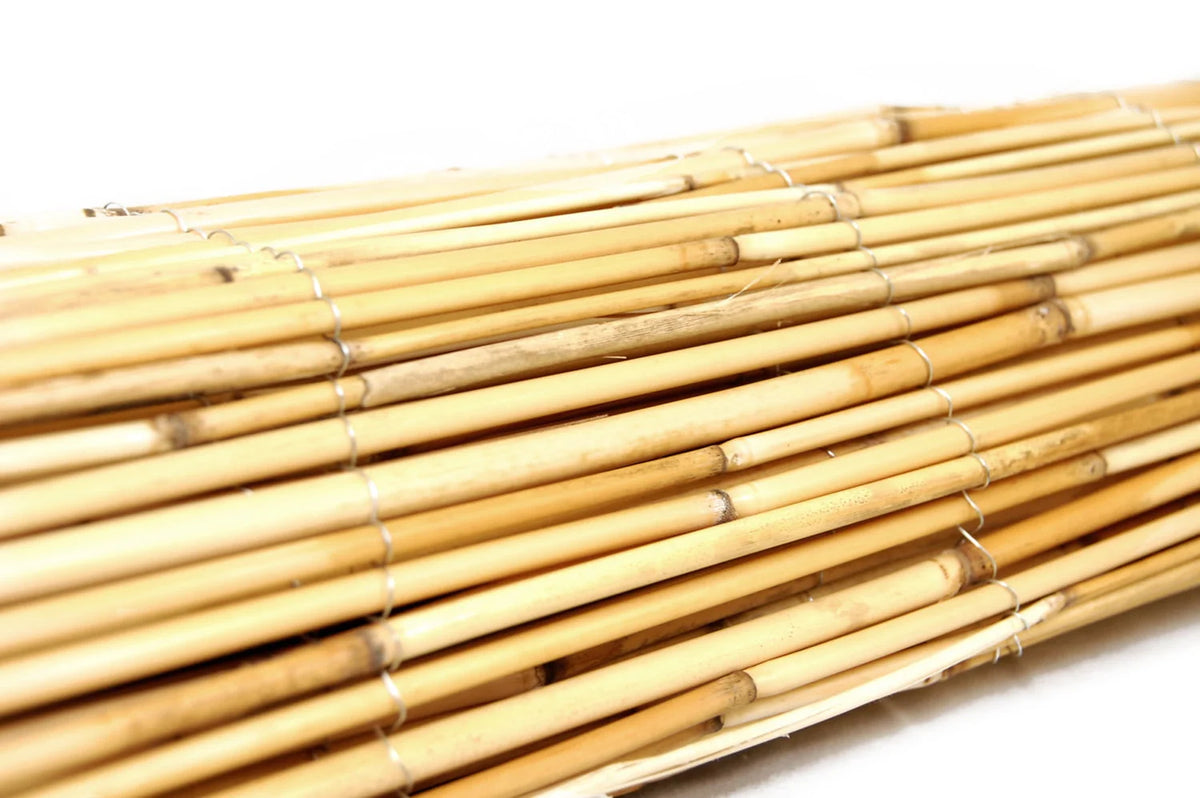Natural Reed Fence Panel 4-Pack J55786