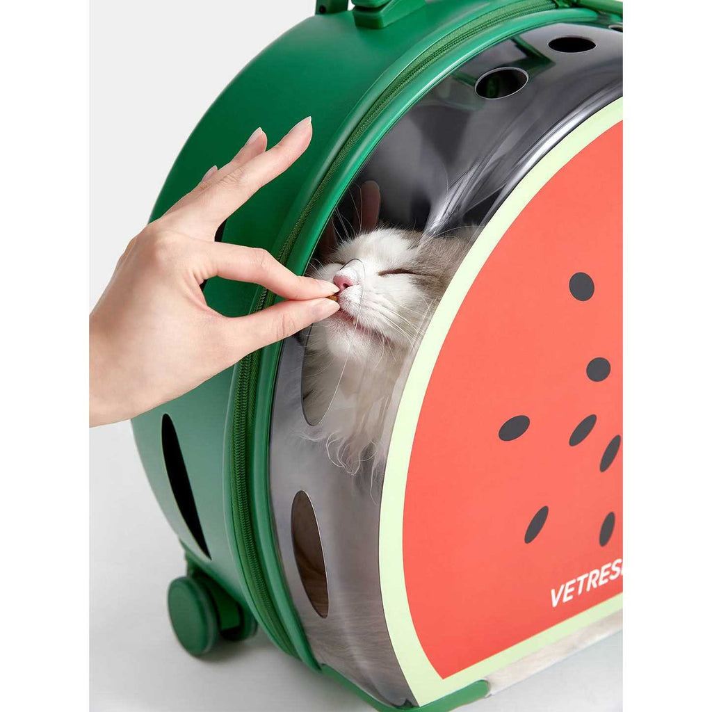Dog & Cat Carrier K5841