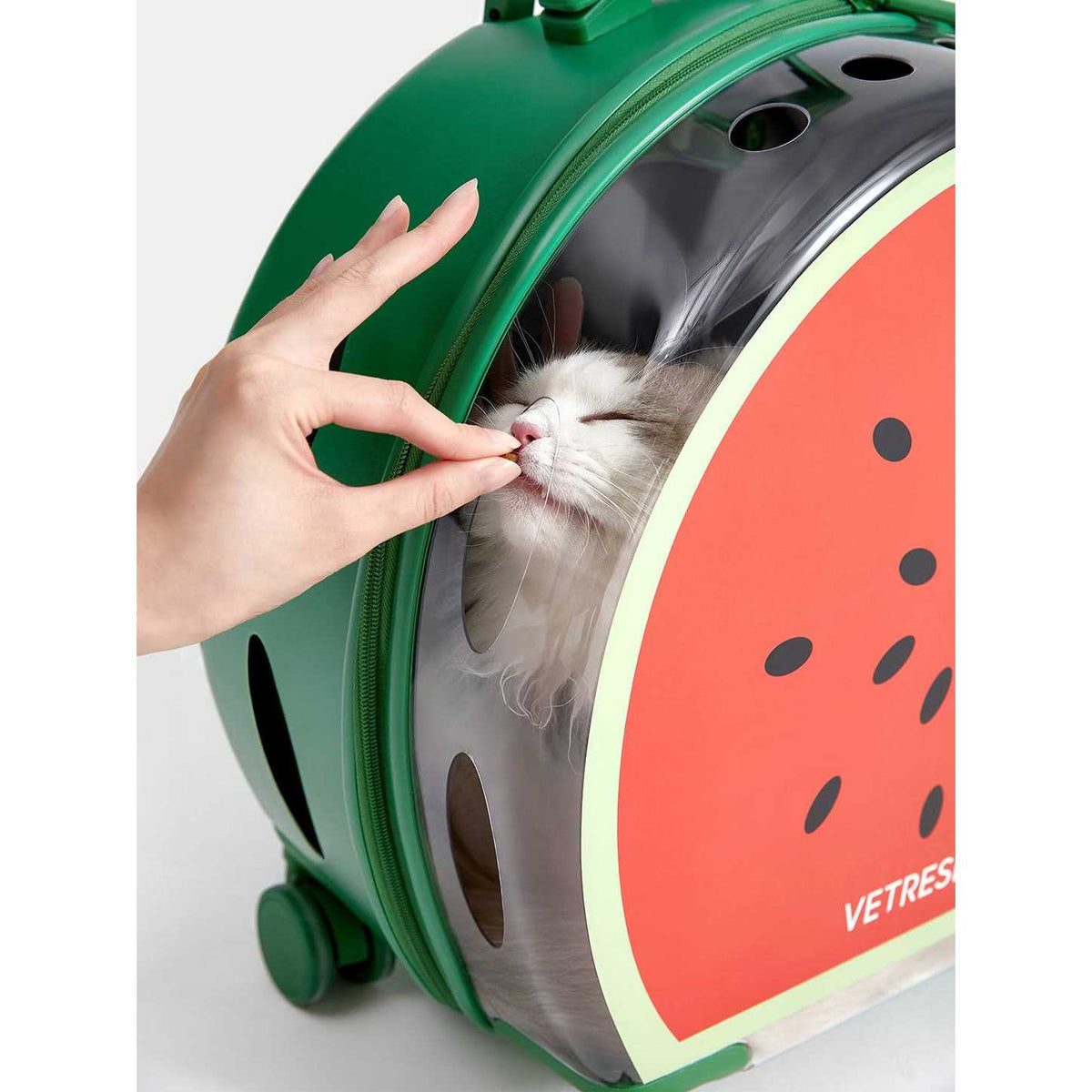 Dog & Cat Carrier K5841