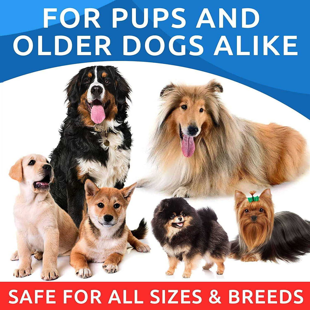 Omega Dogs Oil N873489