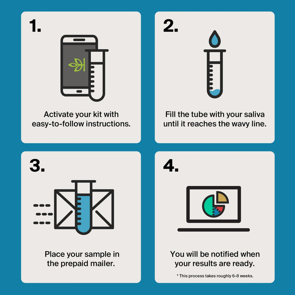 Genetic Test Kit Y573088
