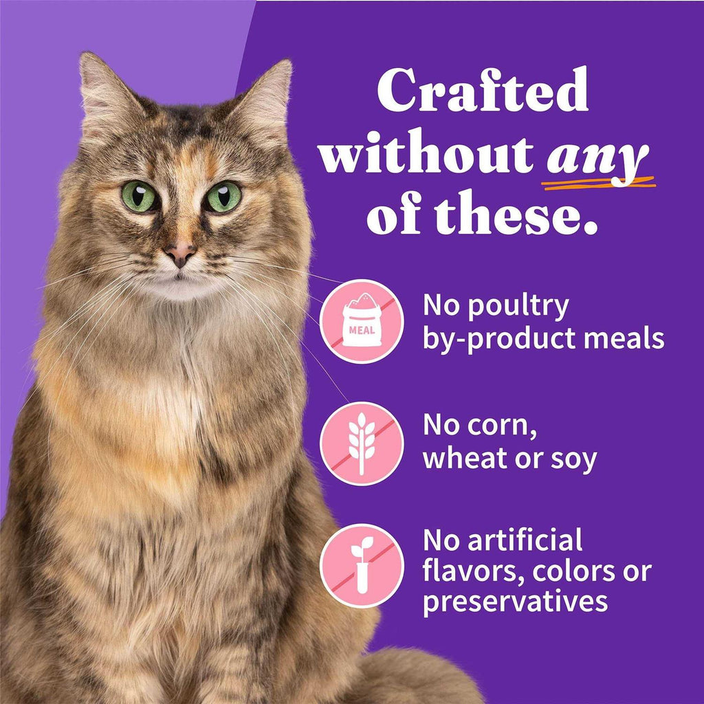 Grain Free Salmon Stew Adult Cat Food F45596