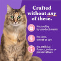 Grain Free Salmon Stew Adult Cat Food F45596