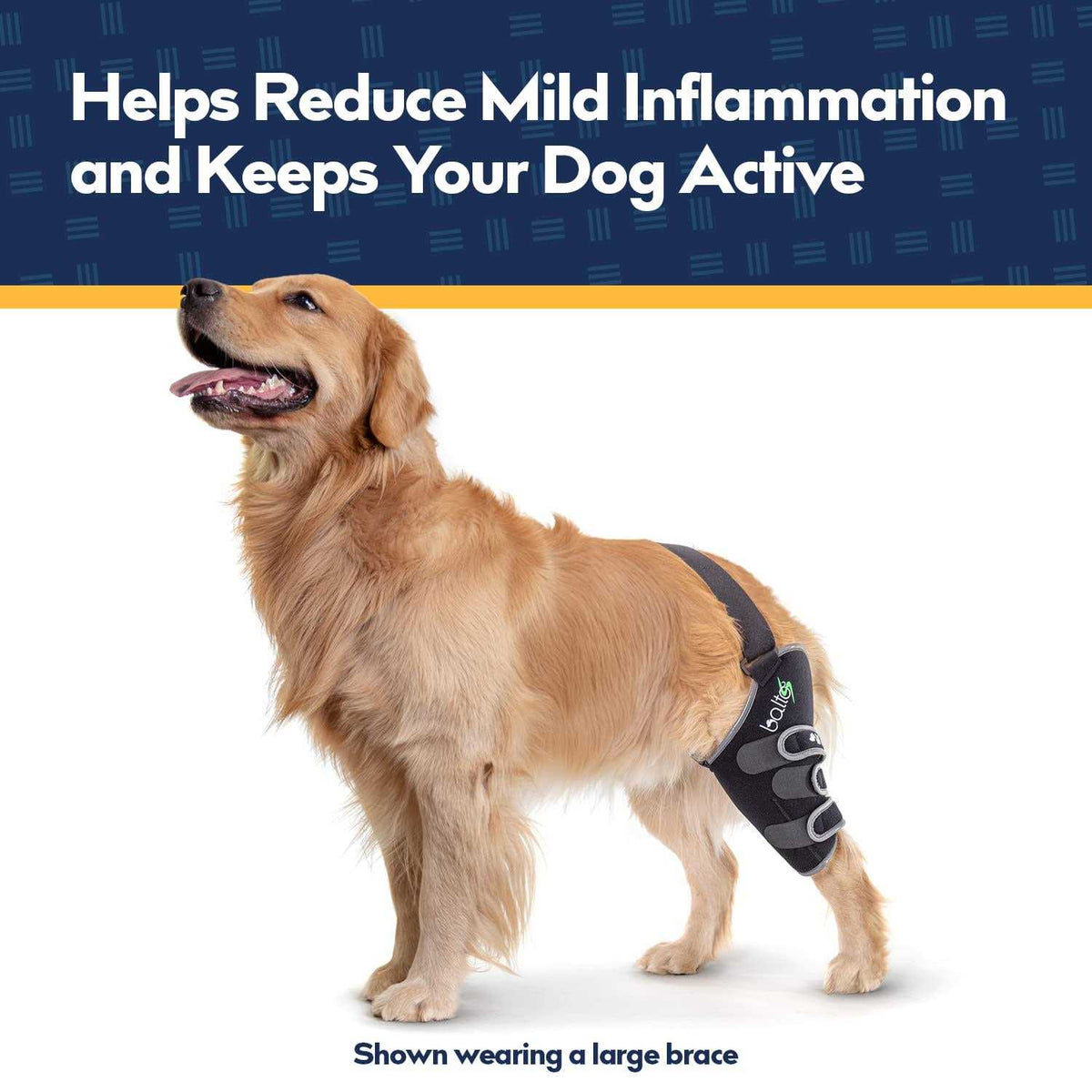 Knee Support for Dogs B19151