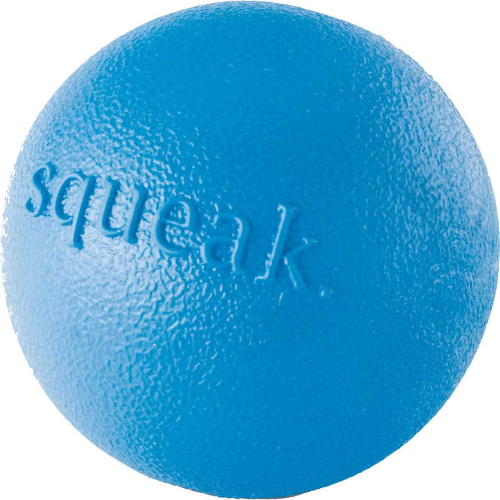 Squeak Toy Ball T259