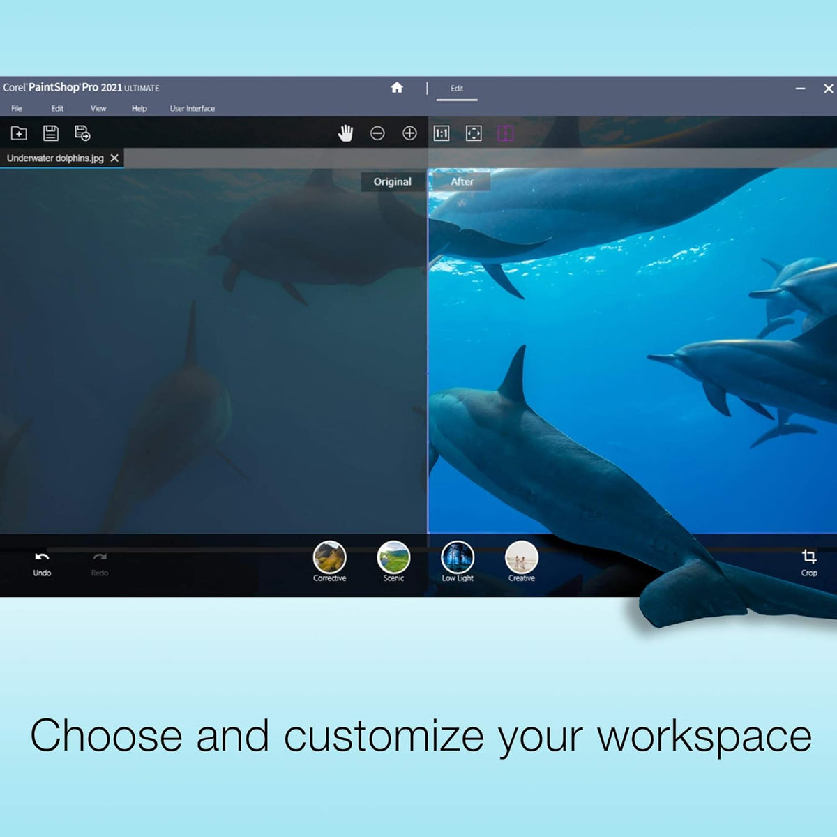 Photo-Editing and Movie-Making Software V4224