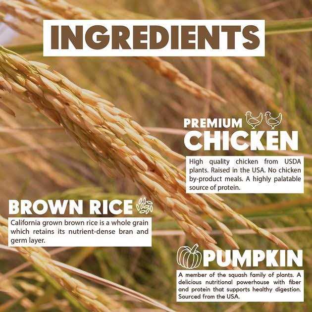 Chicken Brown Rice & Pumpkin Dry Dog Food Q13146