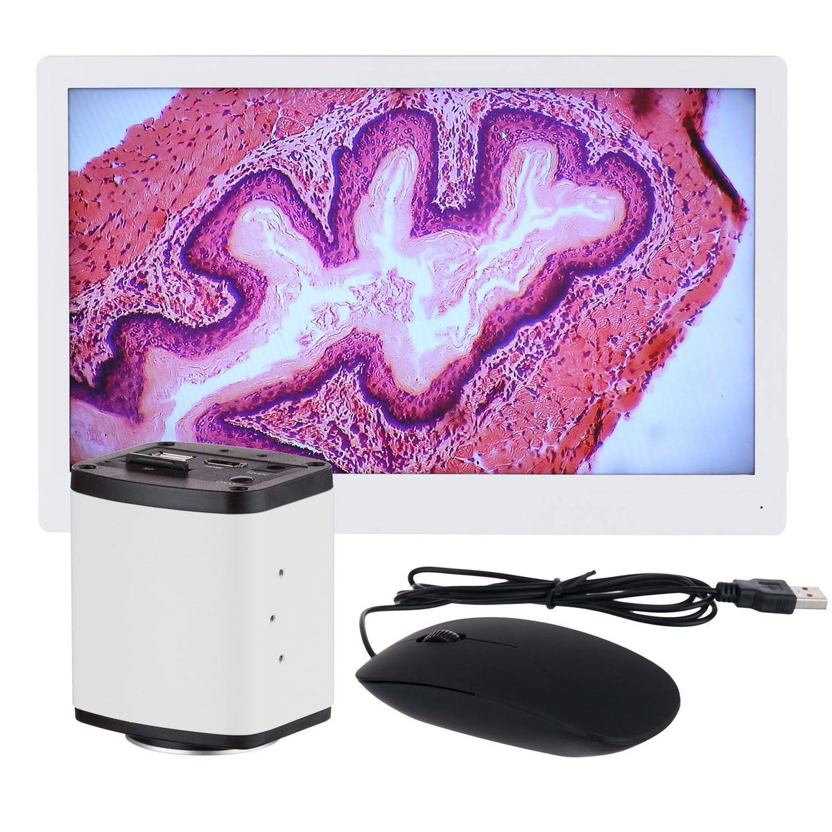1080p HDMI Microscope C-Mount Camera with HD Monitor Q78980