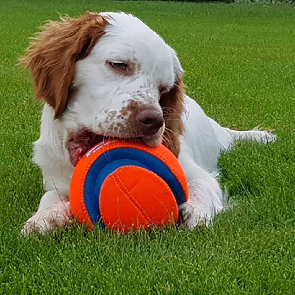 Kick Fetch Ball Dog Toy J10969