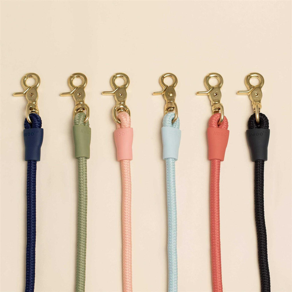 Leash C85823